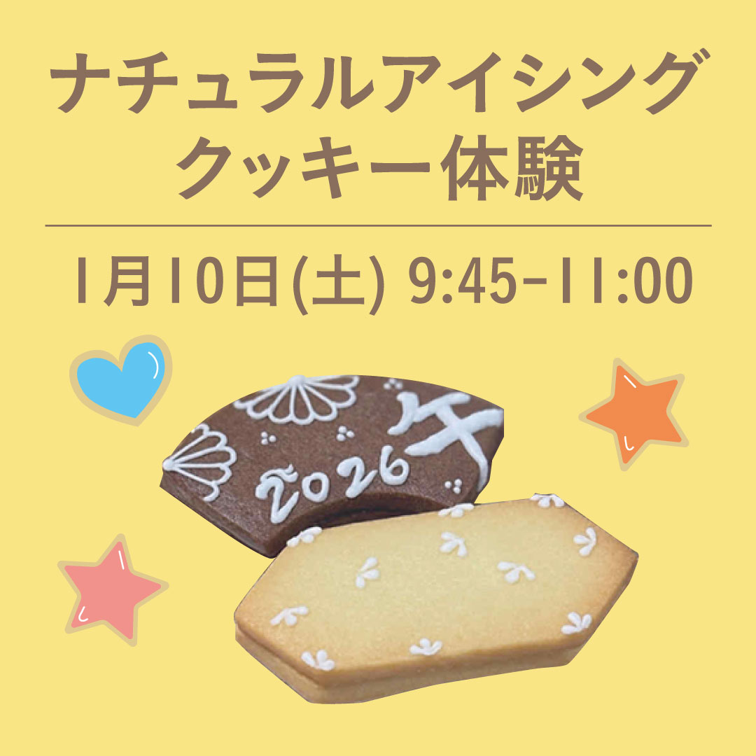 アートクッキー体験